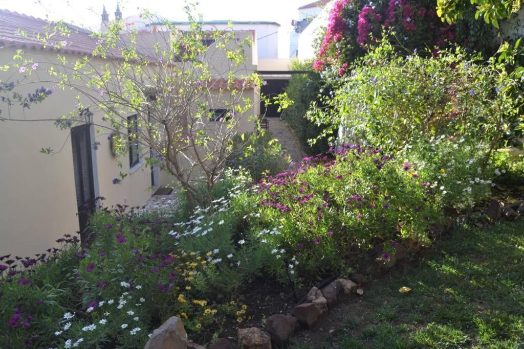 Garden In The City Silves Zewnętrze zdjęcie