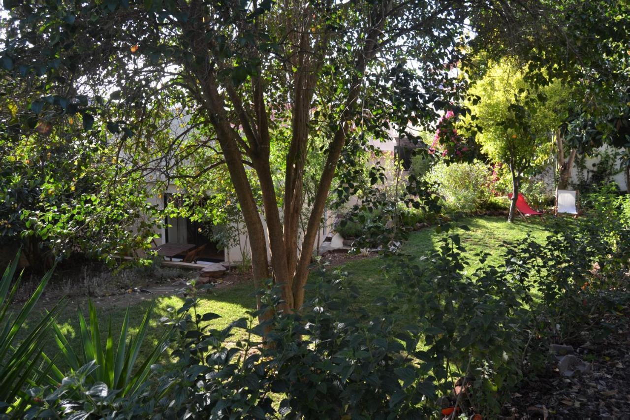 Garden In The City Silves Zewnętrze zdjęcie